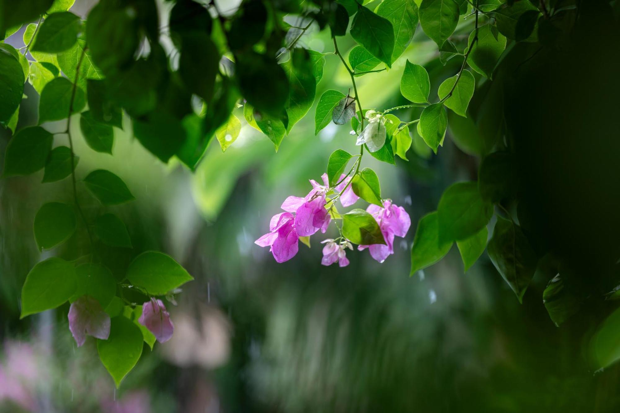 Trang An Family Homestay Ниньбинь Экстерьер фото